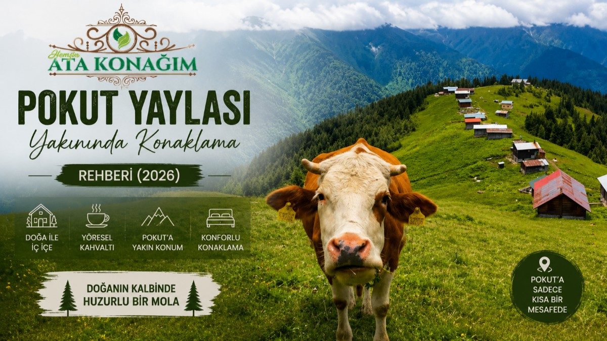 Pokut Yaylası Yakınında Konaklama Rehberi (2026)