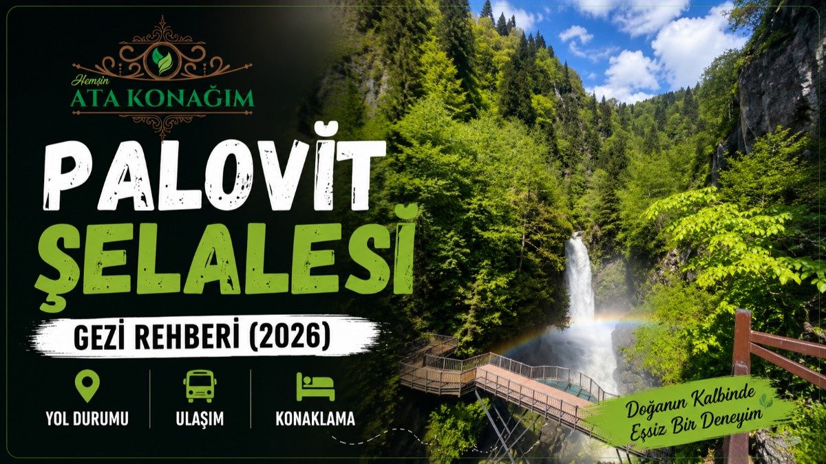 Palovit Waterfall Travel Guide (2026) | Road Conditions, Transportation and Accommodation