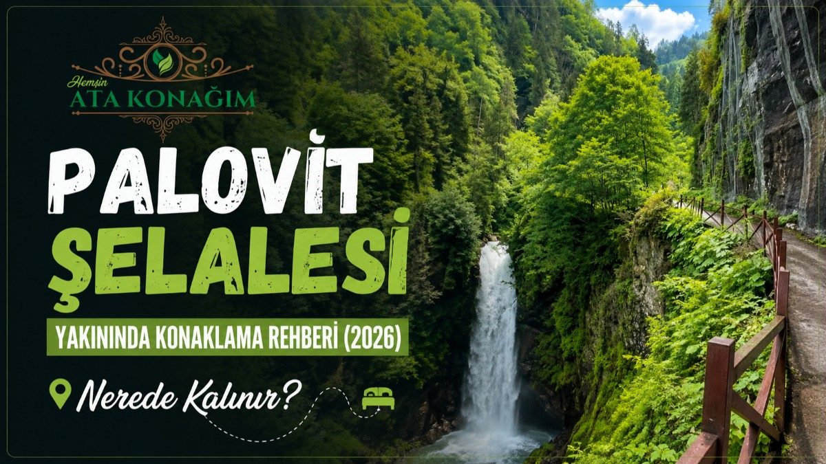 Accommodation Guide Near Palovit Waterfall (2026) | Where to Stay?