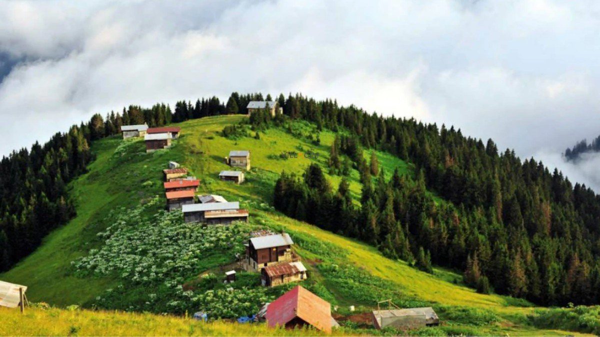 Camlihemsin's lush green nature